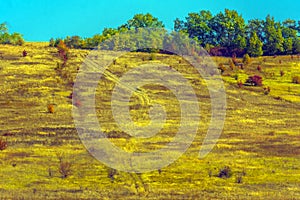 Autumn landscape. Yellow fields and blue sky