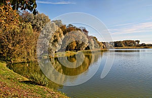 autumn landscape with yellow tree and reflection