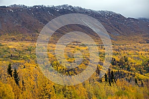 Autumn Landscape Yukon Territories, Canada