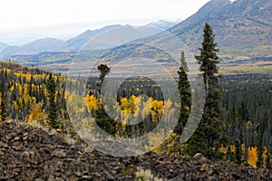 Autumn Landscape Yukon Territories Canada