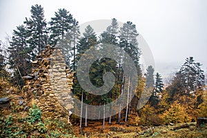 Autumn landscape, Zborov in Slovakia