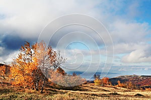 Autumn landscapes