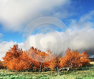 Autumn landscapes