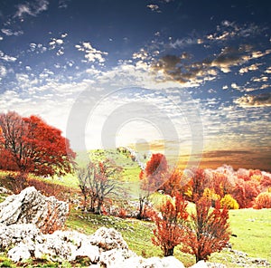 Autumn landscapes