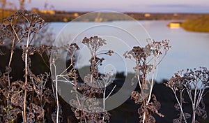 Autumn landscapes of the banks