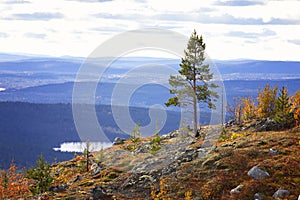 Autumn Landscapes overlooking the lake Kaskama. Kola Peninsula, Arctic Circle, Russia