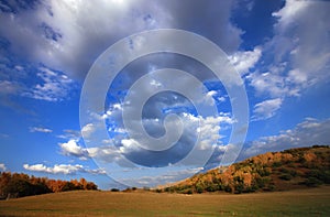 Autumn landscrape trees under sky photo