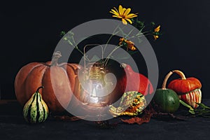 Autumn layout with various pumpkins, glowing vintage lantern and yellow flowers. Thanksgiving concept. Black background