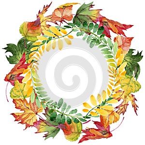 Autumn leaf of acacia wreath in a hand drawn watercolor style.