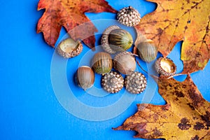 Autumn yellow leaf on blue background