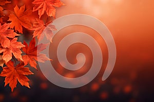 Autumn leaf bokeh background border design with copy space