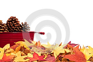 Autumn leaf border with pinecones