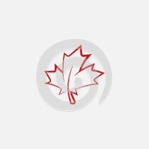 Autumn leaf canadian linear icon vector, maple leaf