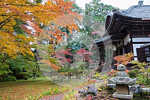 Autumn leaf color at Jurinji Temple Narihira-dera in Kyoto, Japan. The Temple originally built in