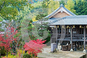 Autumn leaf color at Komyoji Temple in Nagaokakyo, Kyoto, Japan. The Temple originally built in 1198