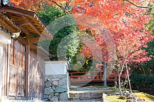Autumn leaf color at Sanzenin Temple in Ohara, Kyoto, Japan. Sanzenin Temple was founded in 804