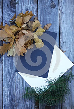 Autumn leaf composition with paper sheets