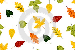 Autumn leaf fall. Autumn oak leaves in Orange, Yellow. Hand drawn vector botany texture. Perfect for wallpaper, gift