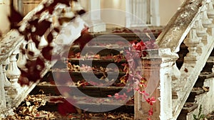 Autumn leaf fall. Red  leaves on the destroyed old stone steps