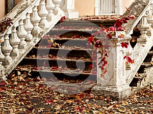 Autumn leaf fall. Red and yellow leaves on the destroyed old stone steps