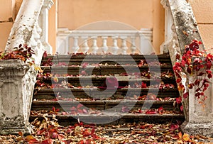 Autumn leaf fall. Red and yellow leaves on the destroyed old stone steps burgundy (marsala color) hat.