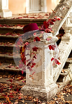 Autumn leaf fall. Red and yellow leaves on the destroyed old stone steps burgundy (marsala color) hat.