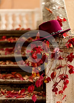 Autumn leaf fall. Red and yellow leaves on the destroyed old stone steps burgundy (marsala color) hat.