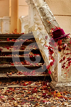 Autumn leaf fall. Red and yellow leaves on the destroyed old stone steps burgundy (marsala color) hat.