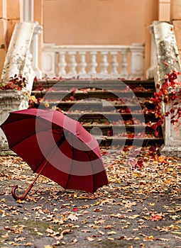 Autumn leaf fall. Red and yellow leaves on the destroyed old stone steps burgundy marsala color umbrella