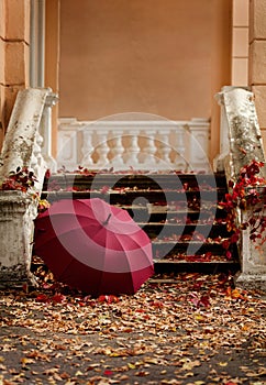Autumn leaf fall. Red and yellow leaves on the destroyed old stone steps burgundy marsala color umbrella