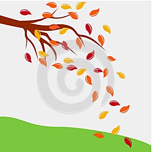 Autumn leaf fall tree concept environmental design vector illustration, branch with autumn leaves on white background