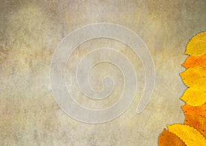 Autumn leaf falling down illustration with copy space for your text