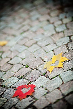 Autumn leaf hearts