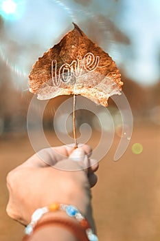 Autumn leaf holding with a hand with letters saying love