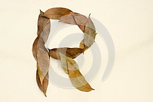 Autumn leaf letter R Background image. Natural forest leaf alphabet Background