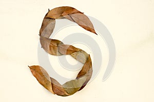 Autumn leaf letter S Background image. Natural forest leaf alphabet Background