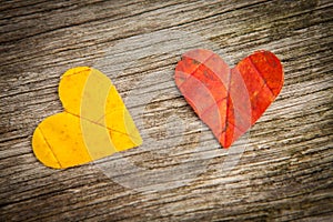 Autumn leaf love hearts