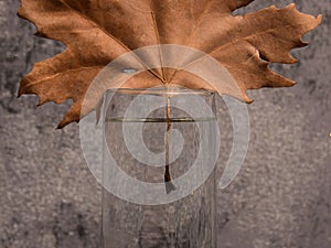 Autumn leaf. Minimal composition. Autumn background