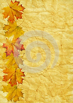 Autumn leaf on old paper