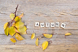 Autumn leaf on old rustic board with inscription `autumn`.