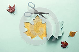 Autumn leaf paper reveal