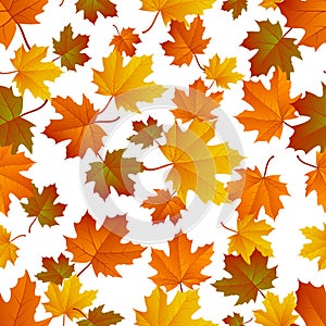 Autumn leaf pattern. Fall leaf decoration. Autumn background with maple leaf. Vector