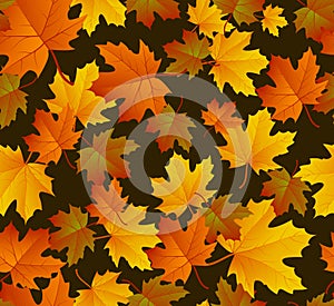 Autumn leaf pattern. Fall leaf decoration. Autumn background with maple leaf. Vector