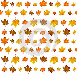 Autumn leaf pattern. Fall leaf decoration. Autumn background with maple leaf. Vector