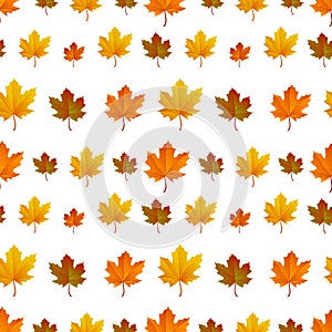Autumn leaf pattern. Fall leaf decoration. Autumn background with maple leaf. Vector