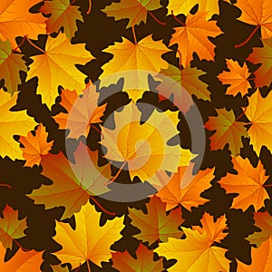 Autumn leaf pattern. Fall leaf decoration. Autumn background with maple leaf. Vector
