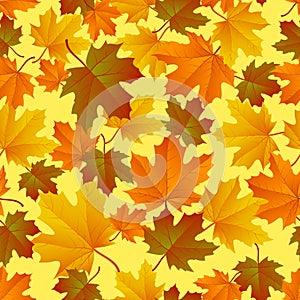 Autumn leaf pattern. Fall leaf decoration. Autumn background with maple leaf. Vector
