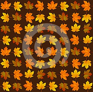 Autumn leaf pattern. Fall leaf decoration. Autumn background with maple leaf. Vector