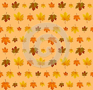 Autumn leaf pattern. Fall leaf decoration. Autumn background with maple leaf. Vector
