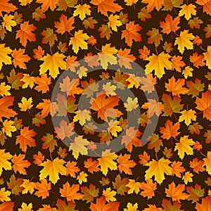 Autumn leaf pattern. Fall leaf decoration. Autumn background with maple leaf. Vector